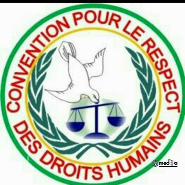 Sud-Kivu : des bombardements meurtriers contre des civils documentés par une enquête humanitaire indépendante